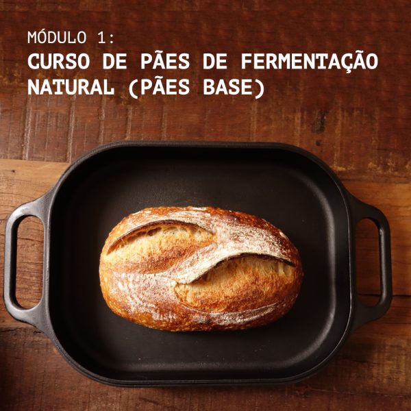 Curso de pães de fermentação natural (Pães base) - Módulo 1